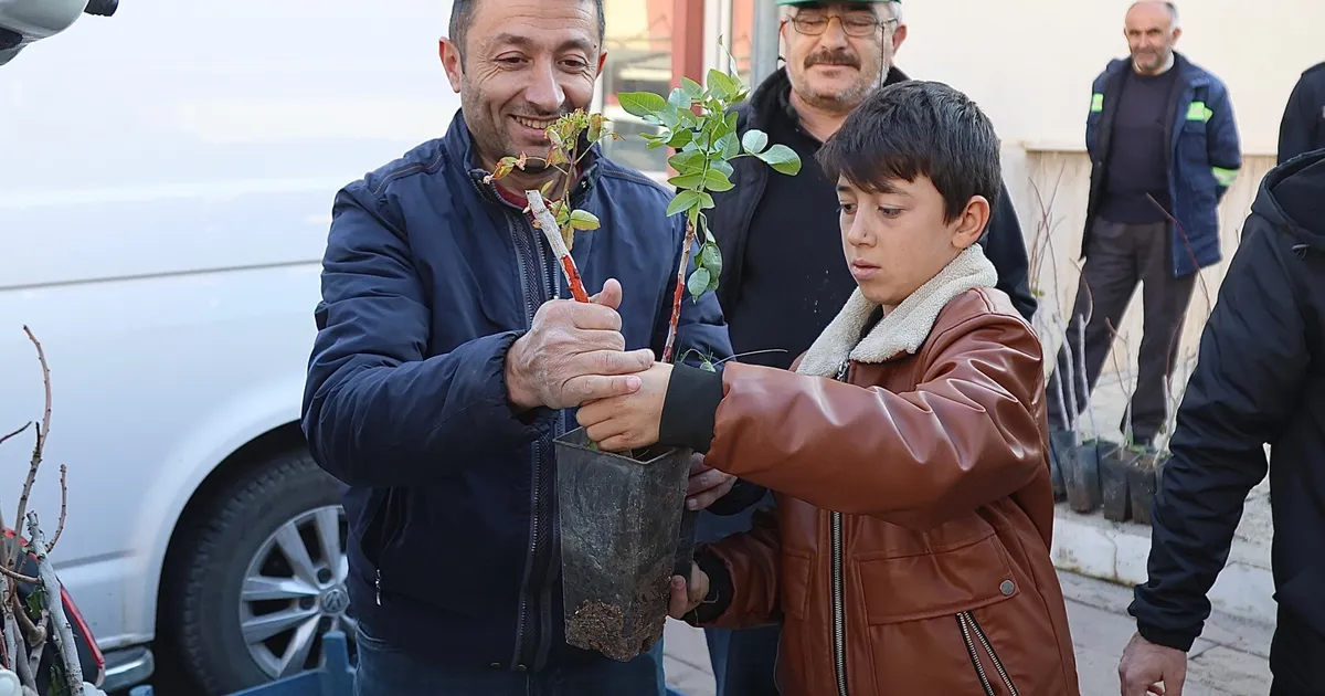 Konya’nın 3 ilçesinde üreticiye Antep Fıstığı desteği